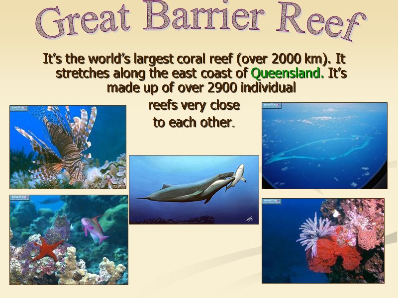 It’s the world’s largest coral reef (over 2000 km). It stretches along the east